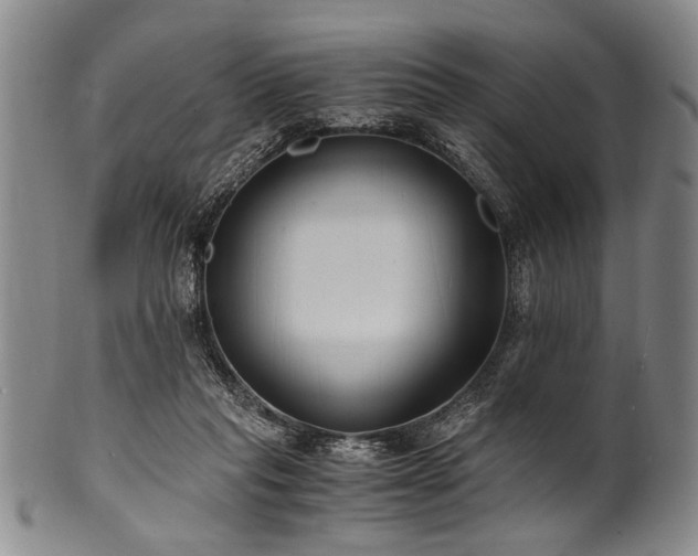 X0000101110261200806261419