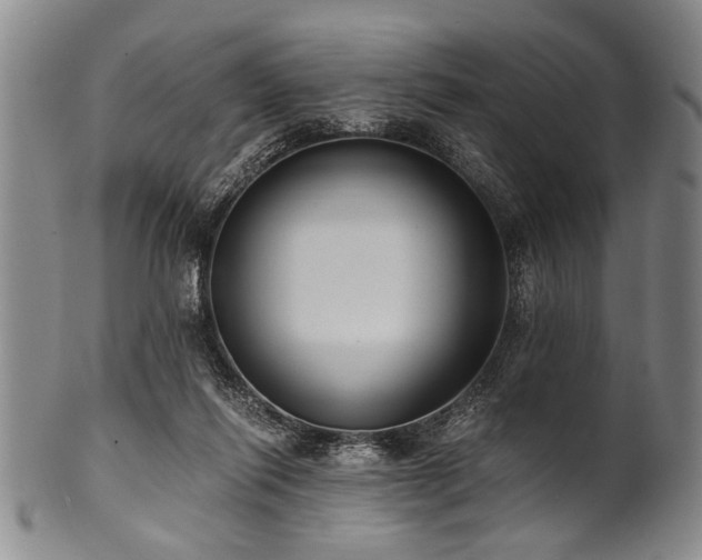 X0000101110262200806261419