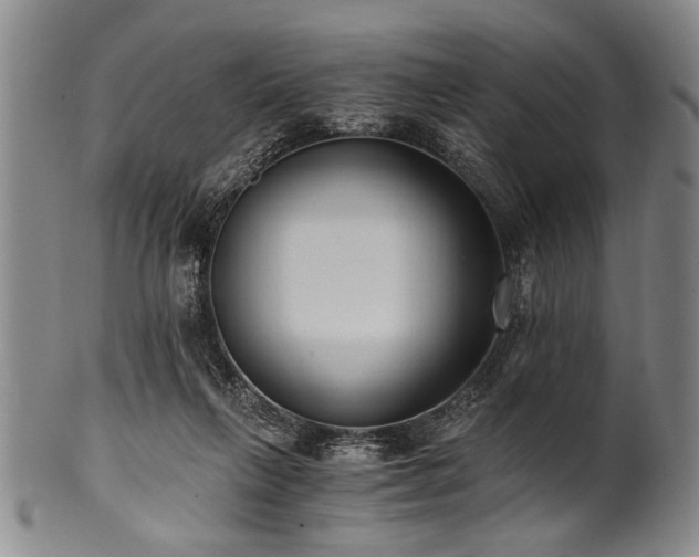 X0000101110263200806261419