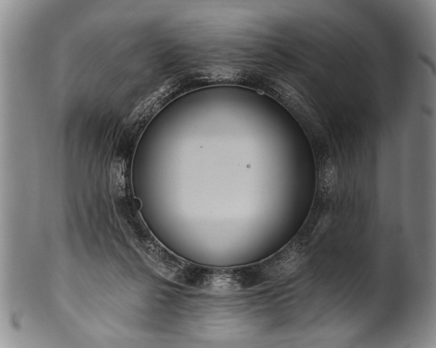 X0000101110264200806261419