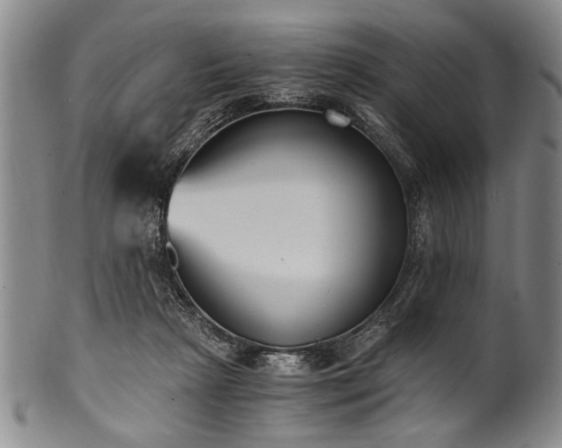 X0000101110265200806261419