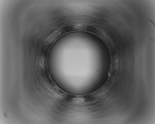X0000101110266200806261419