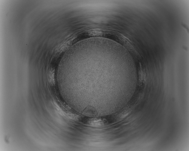 X0000101110267200806261419
