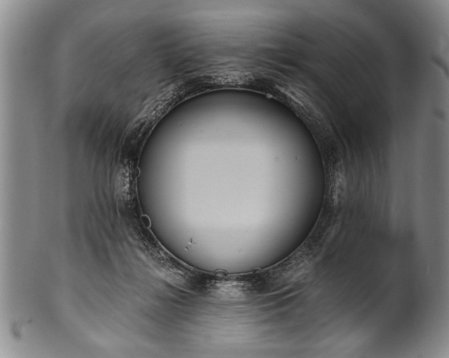 X0000101110268200806261419