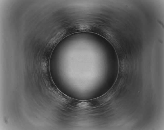X0000101110269200806261419