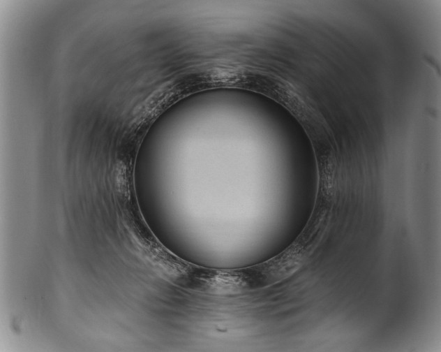 X0000101110270200806261419