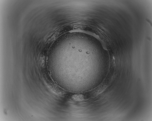 X0000101110271200806261419