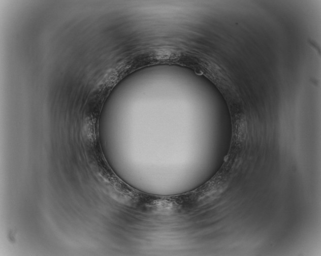 X0000101110272200806261419