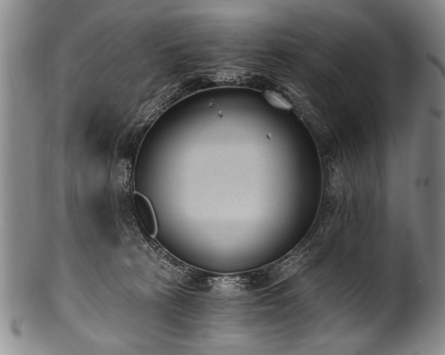 X0000101110273200806261419
