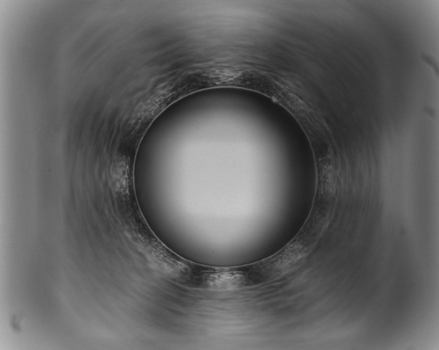 X0000101110274200806261419