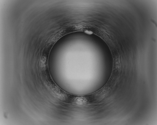 X0000101110275200806261419