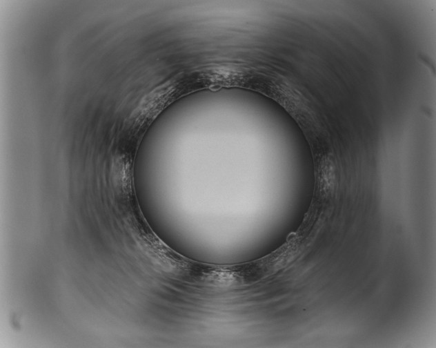 X0000101110276200806261419