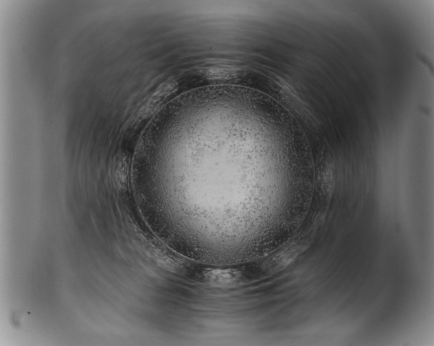 X0000101110277200806261419