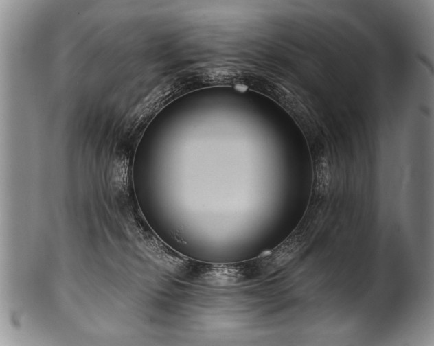 X0000101110278200806261419