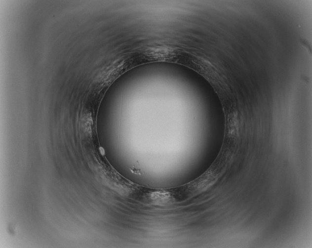 X0000101110279200806261419