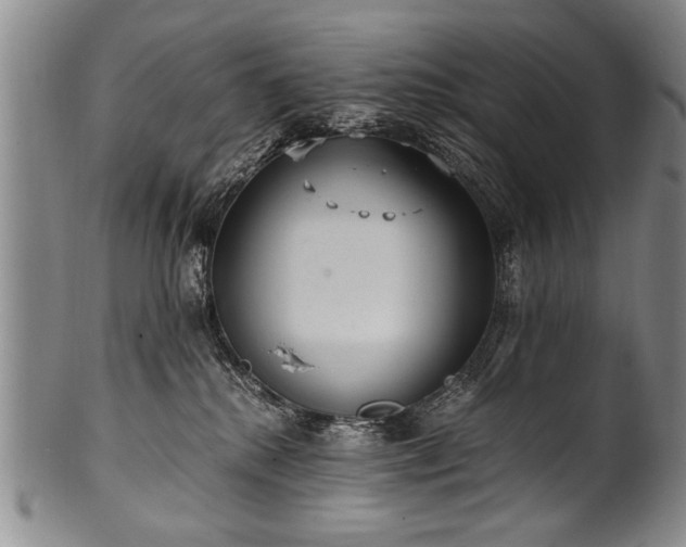 X0000101110280200806261419