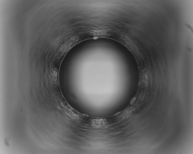 X0000101110281200806261420