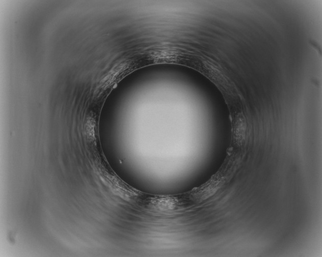 X0000101110282200806261420