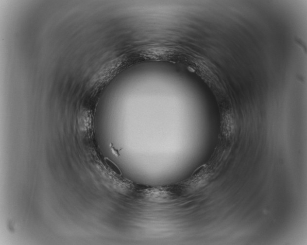 X0000101110284200806261420