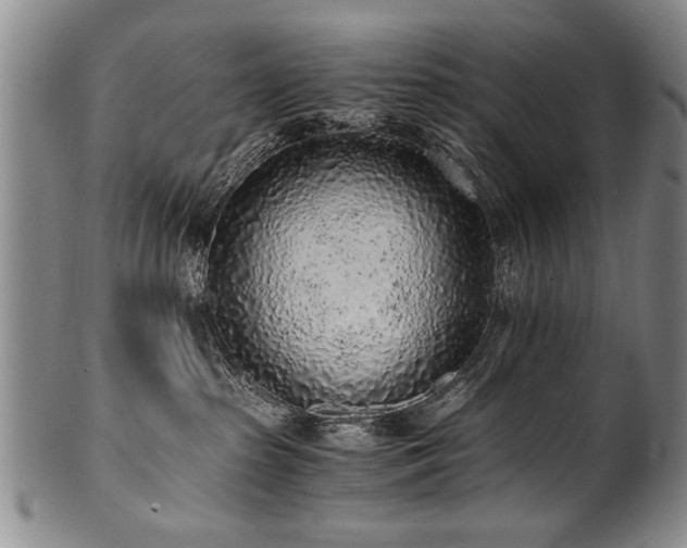 X0000101110285200806261420