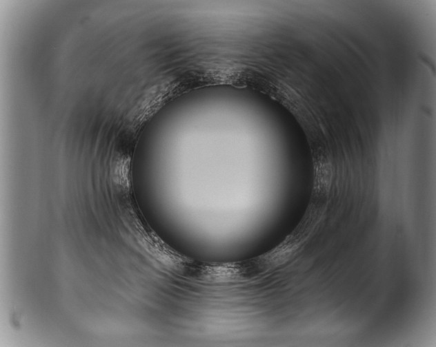 X0000101110286200806261420