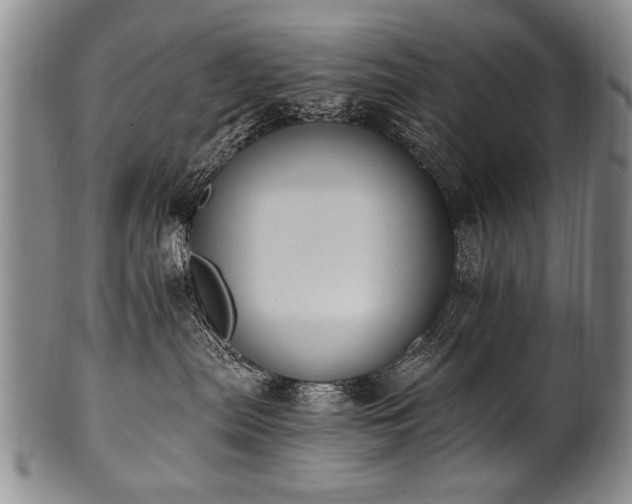 X0000101110287200806261420