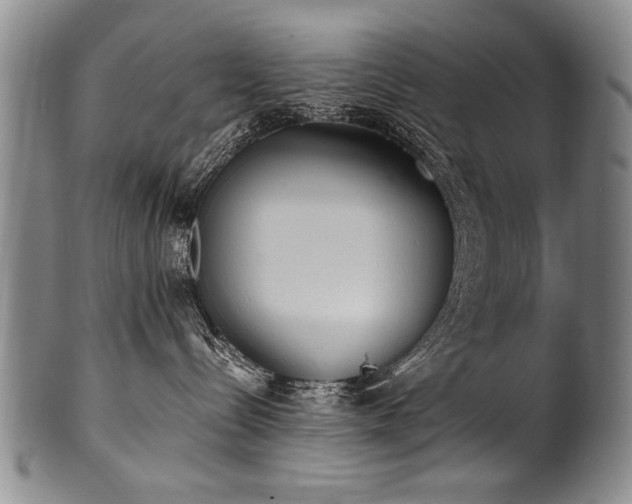 X0000101110288200806261420