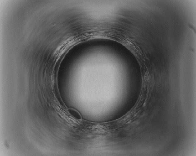 X0000101110290200806261419