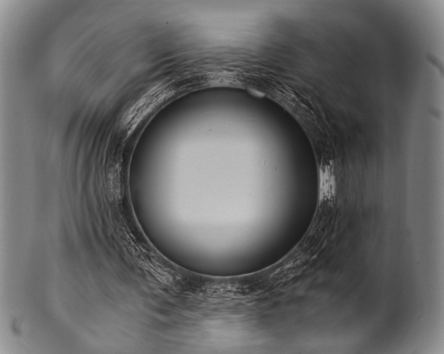 X0000101110291200806261419