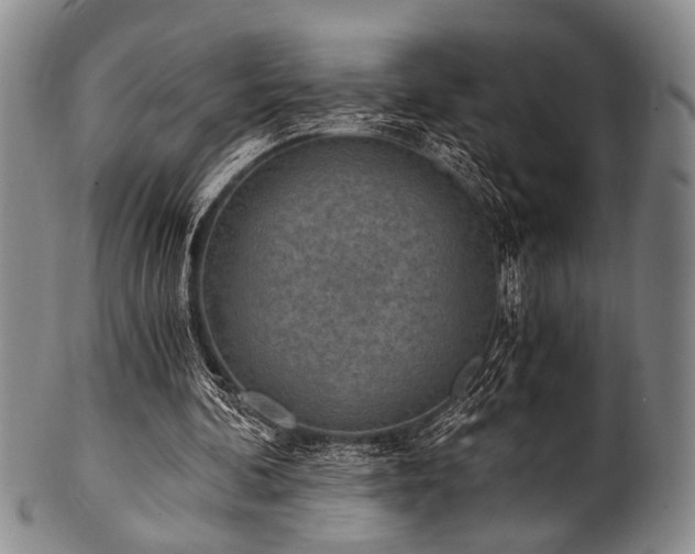 X0000101110292200806261419