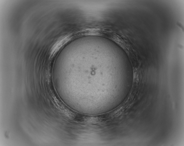 X0000101110293200806261419