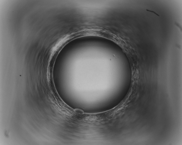 X0000101110294200806261419
