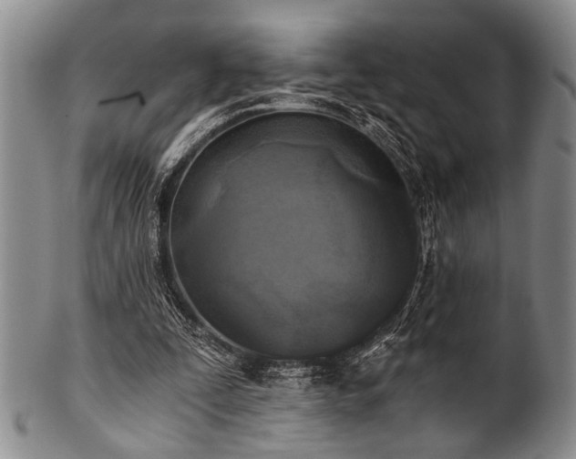 X0000101110295200806261419