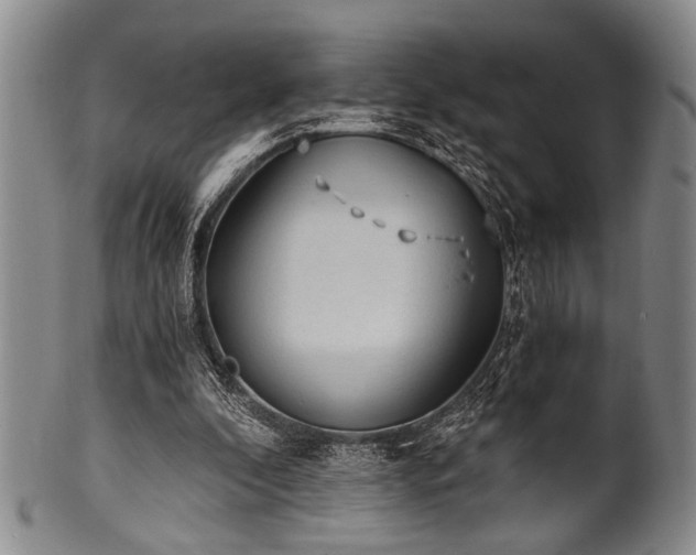 X0000101110296200806261419
