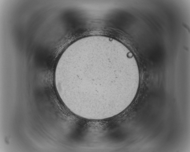 X0000101110297200806261419