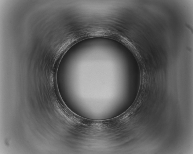X0000101110298200806261419