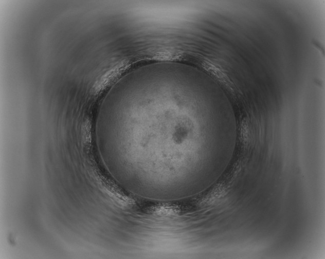 X0000101110303200806261419