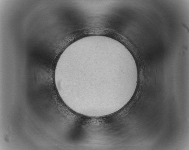 X0000101110305200806261419