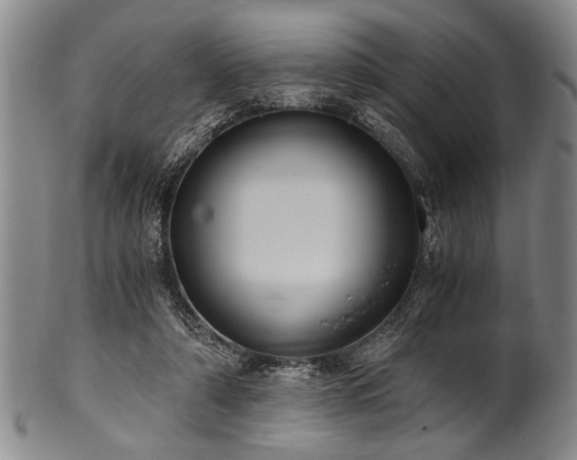 X0000101110306200806261419