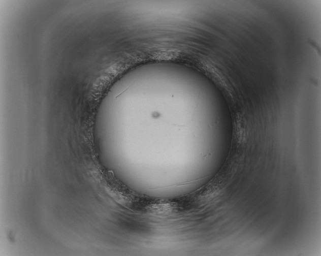 X0000101110307200806261419