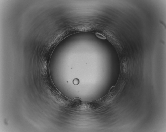 X0000101110308200806261419