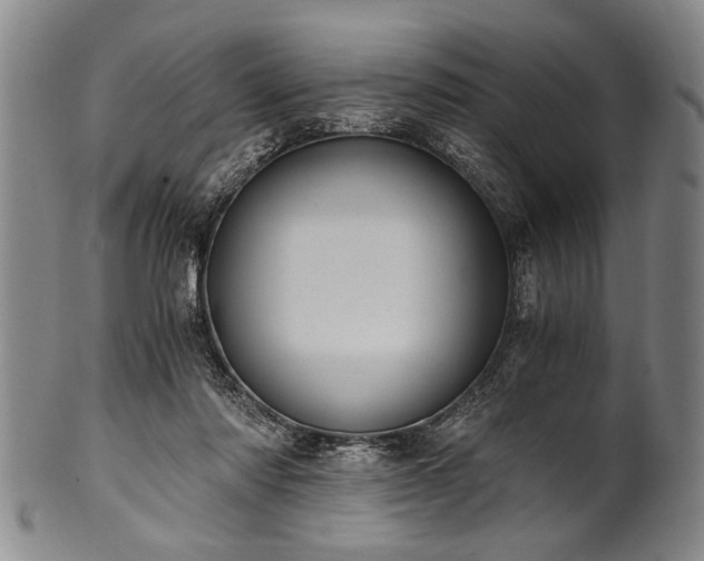 X0000101110310200806261419