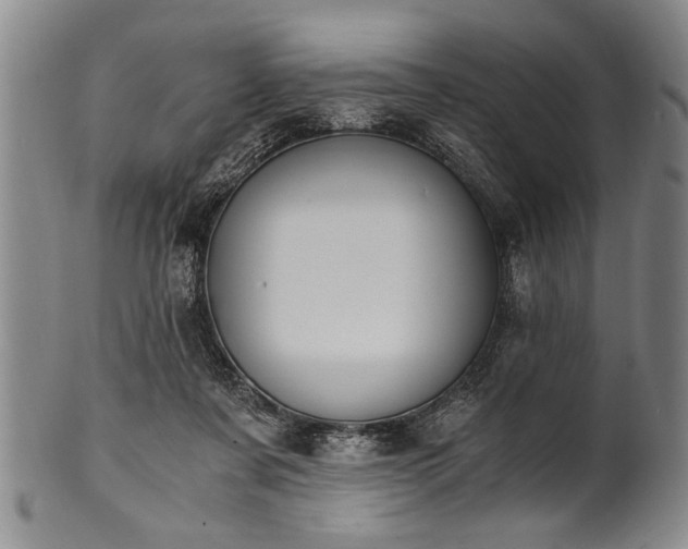 X0000101110311200806261419