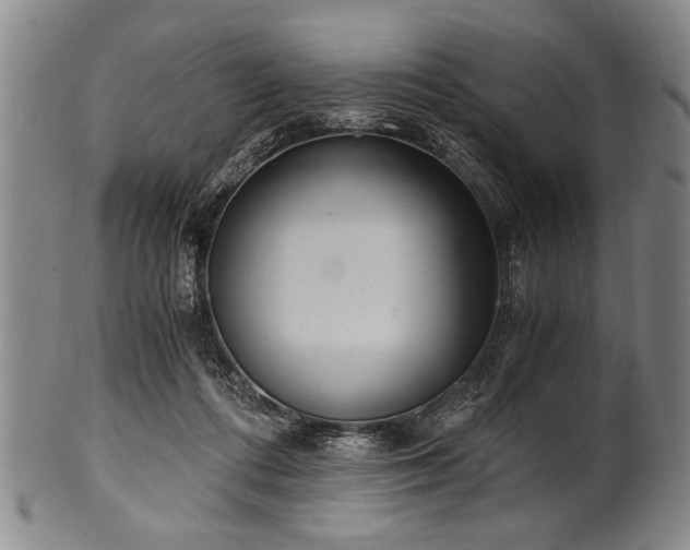 X0000101110312200806261419