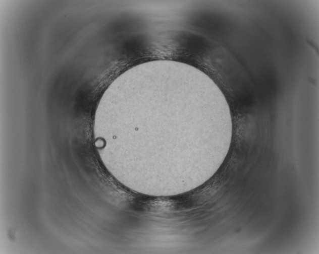 X0000101110313200806261419