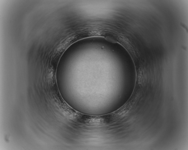X0000101110314200806261419