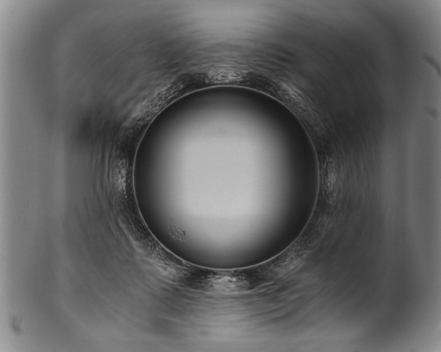 X0000101110315200806261419