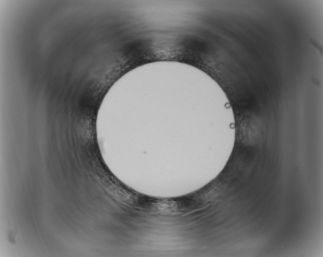X0000101110317200806261419