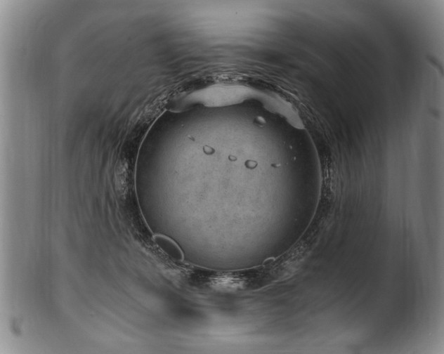 X0000101110319200806261419