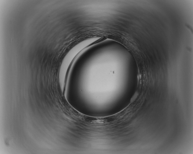 X0000101110320200806261418